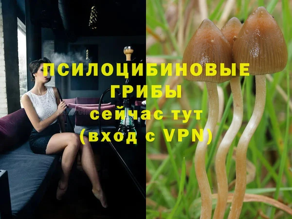 первитин Алзамай
