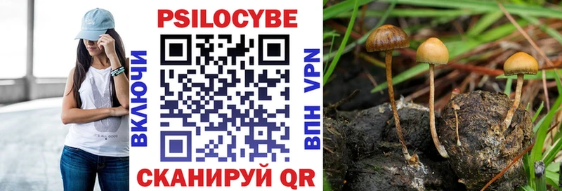цены   Южно-Сахалинск  Псилоцибиновые грибы прущие грибы 